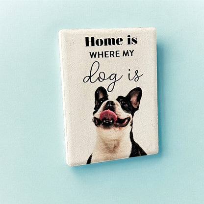 Playful Pets Ceramic Magnets