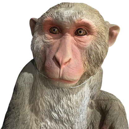 Japanese Monkey Statue
