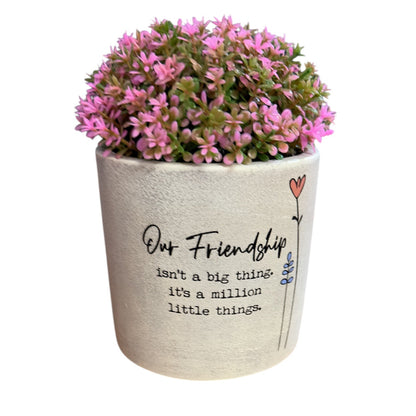 Wild Meadow Pot Plant