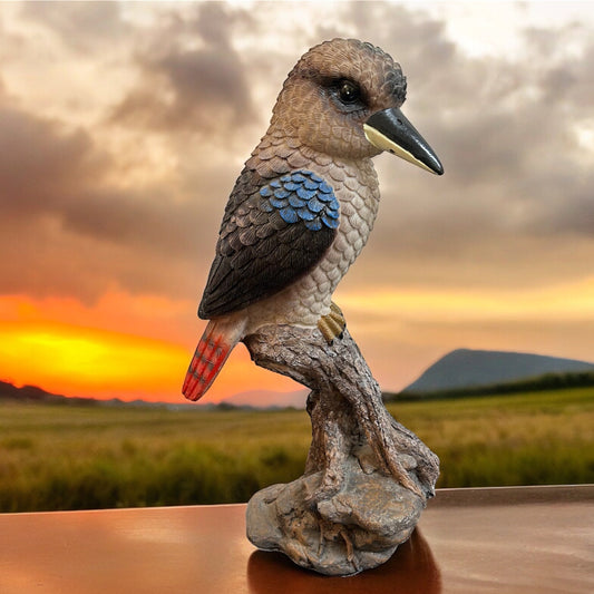 Kookaburra On Log