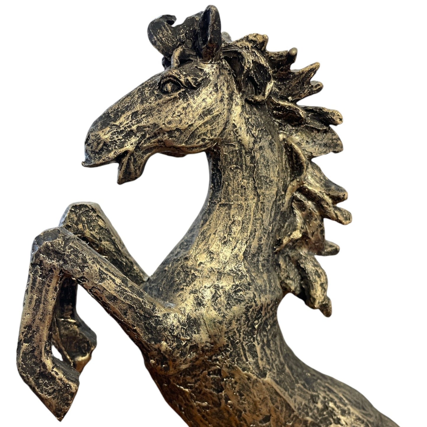 Bronze Horse Rearing