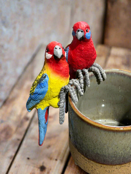 Assorted Bird Pot Sitters