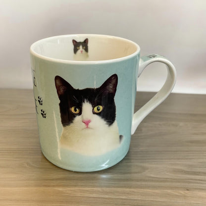 Feline Friends Mug