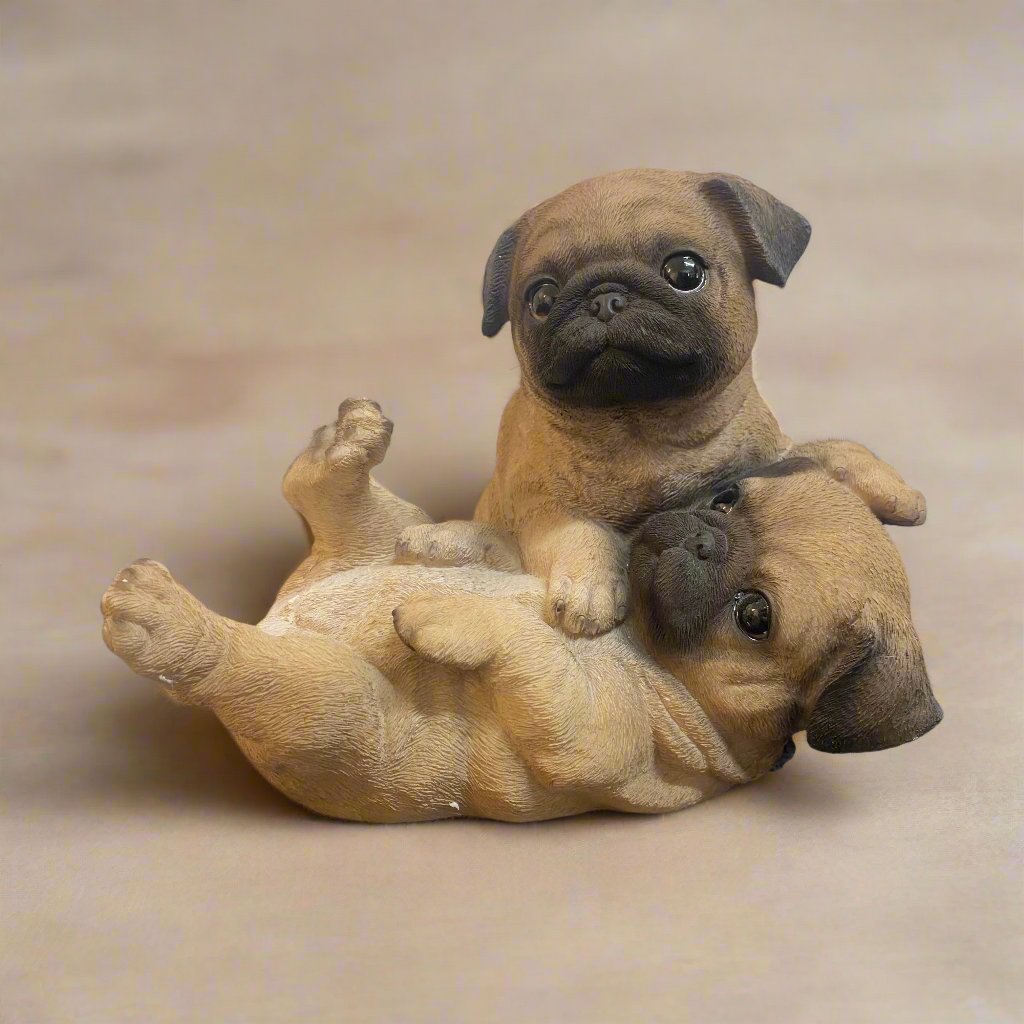 Pug Puppies Playing