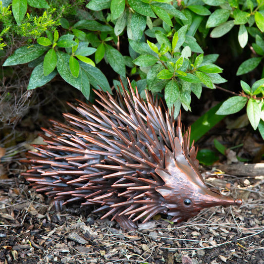 Metal Echidna