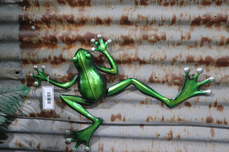 Backyard Frog Climbing Wall Art