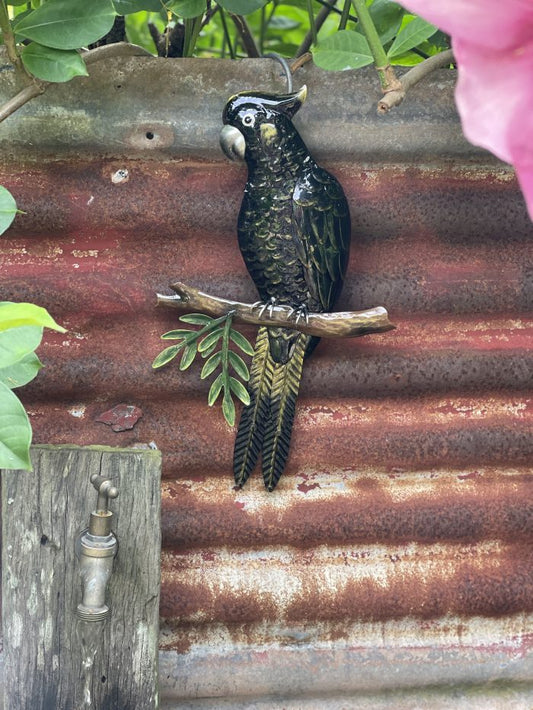 Black Cockatoo Perched Wall Art