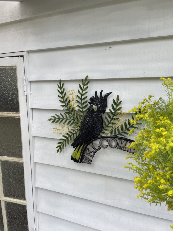 Black Cockatoo with Banksia Welcome