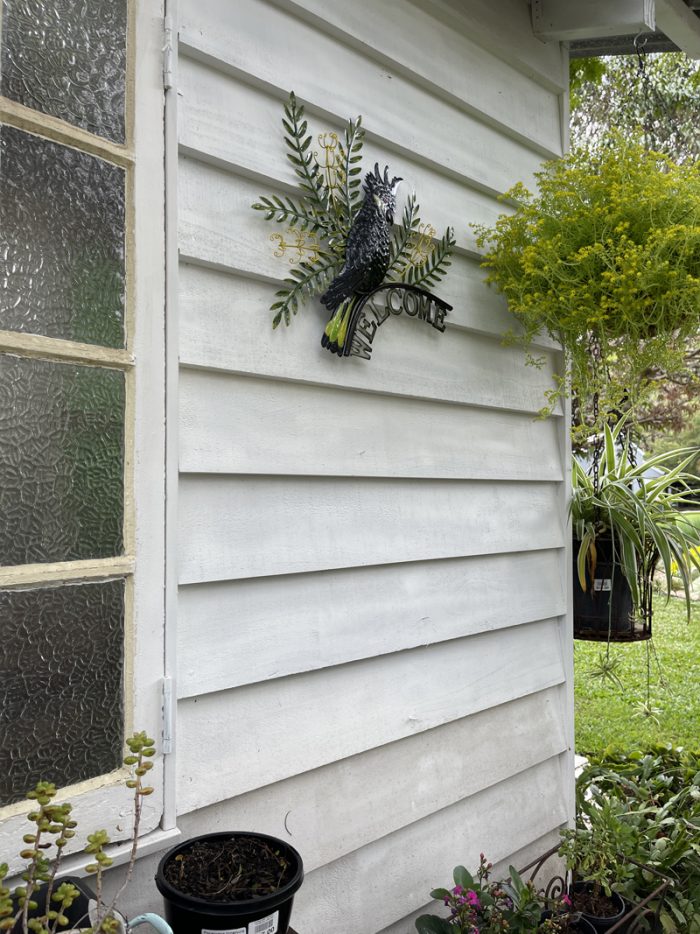 Black Cockatoo with Banksia Welcome