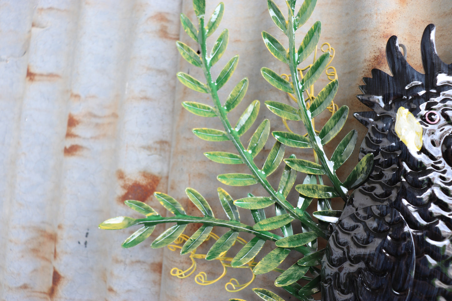 Black Cockatoo with Banksia Welcome