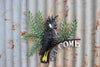 Black Cockatoo with Banksia Welcome