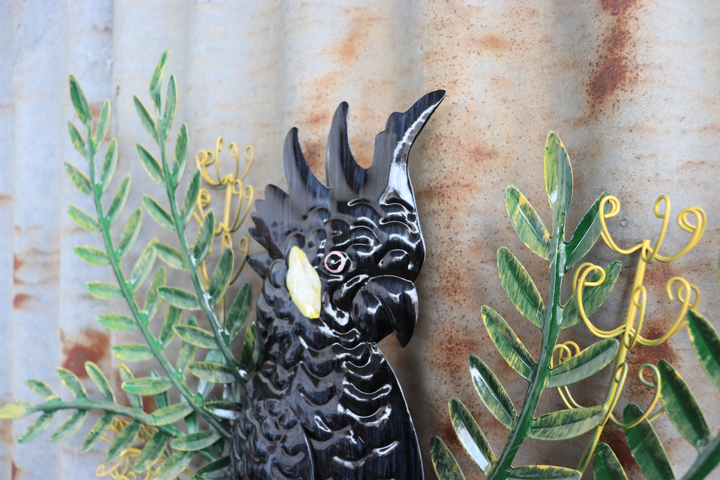 Black Cockatoo with Banksia Welcome