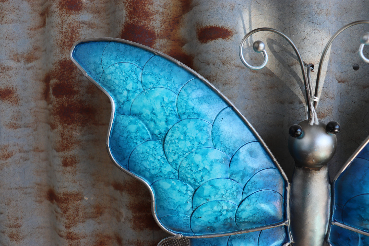 Blue Metal Butterfly