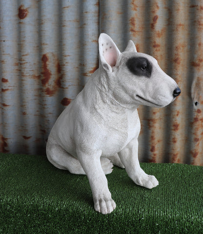 Bull Terrier