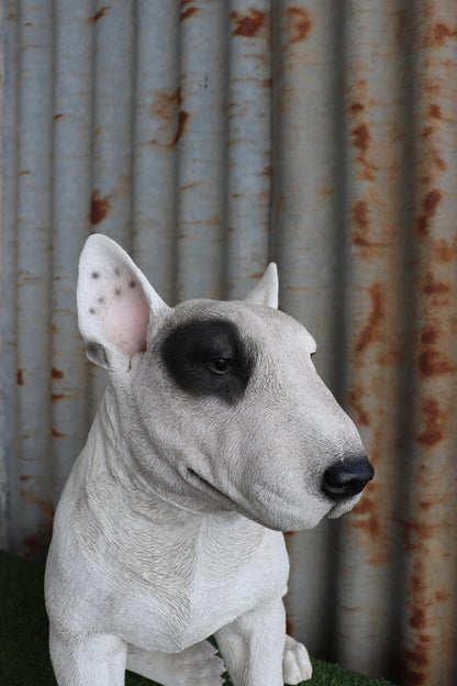 Bull Terrier