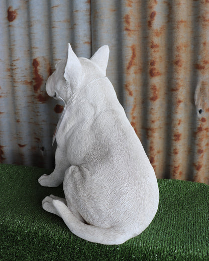 Bull Terrier