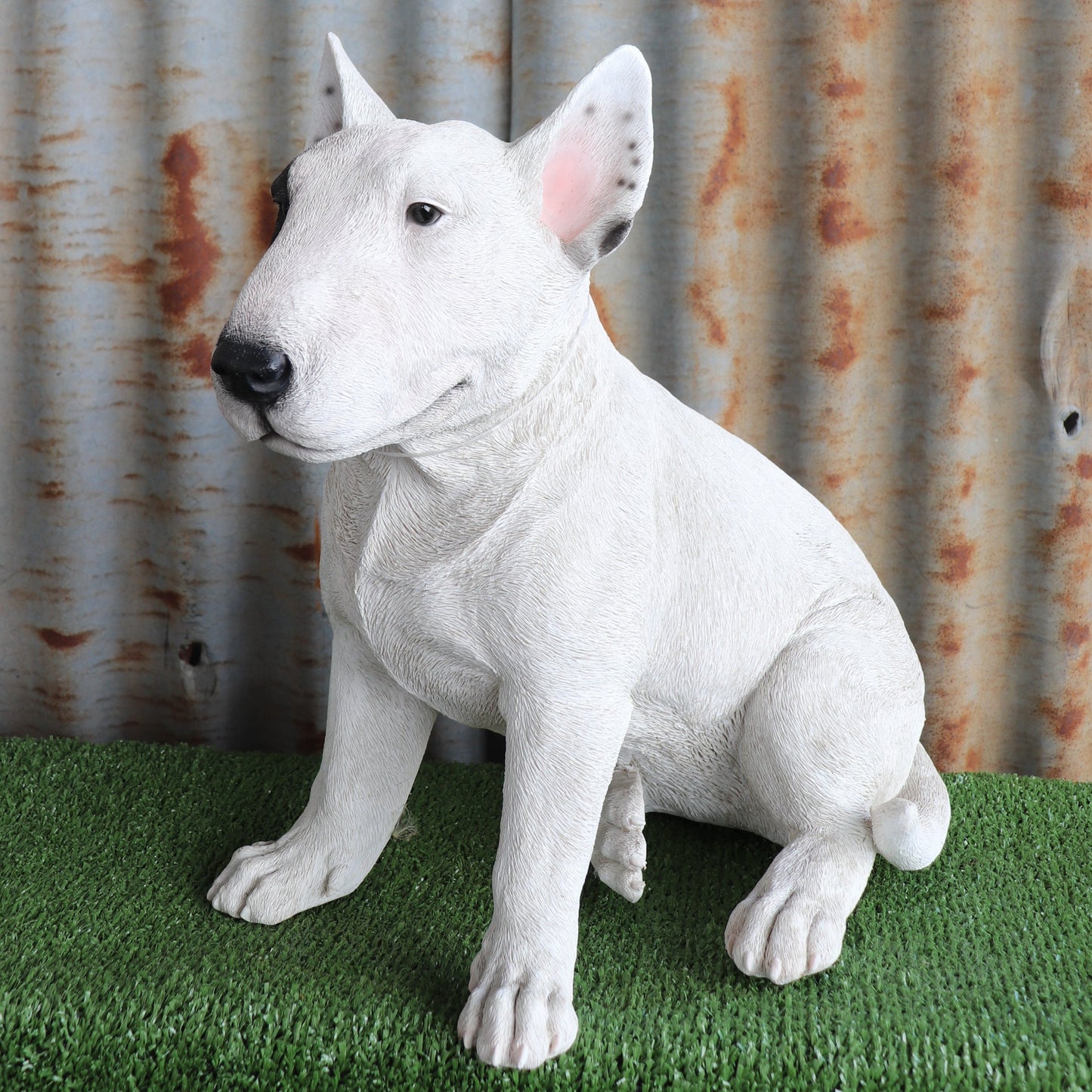 Bull Terrier