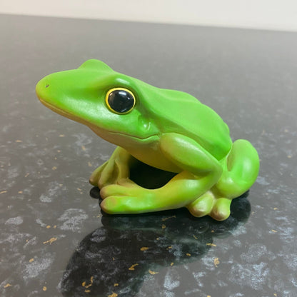 Realistic Frogs