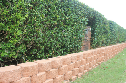 Classic Wall Retaining Wall Blocks