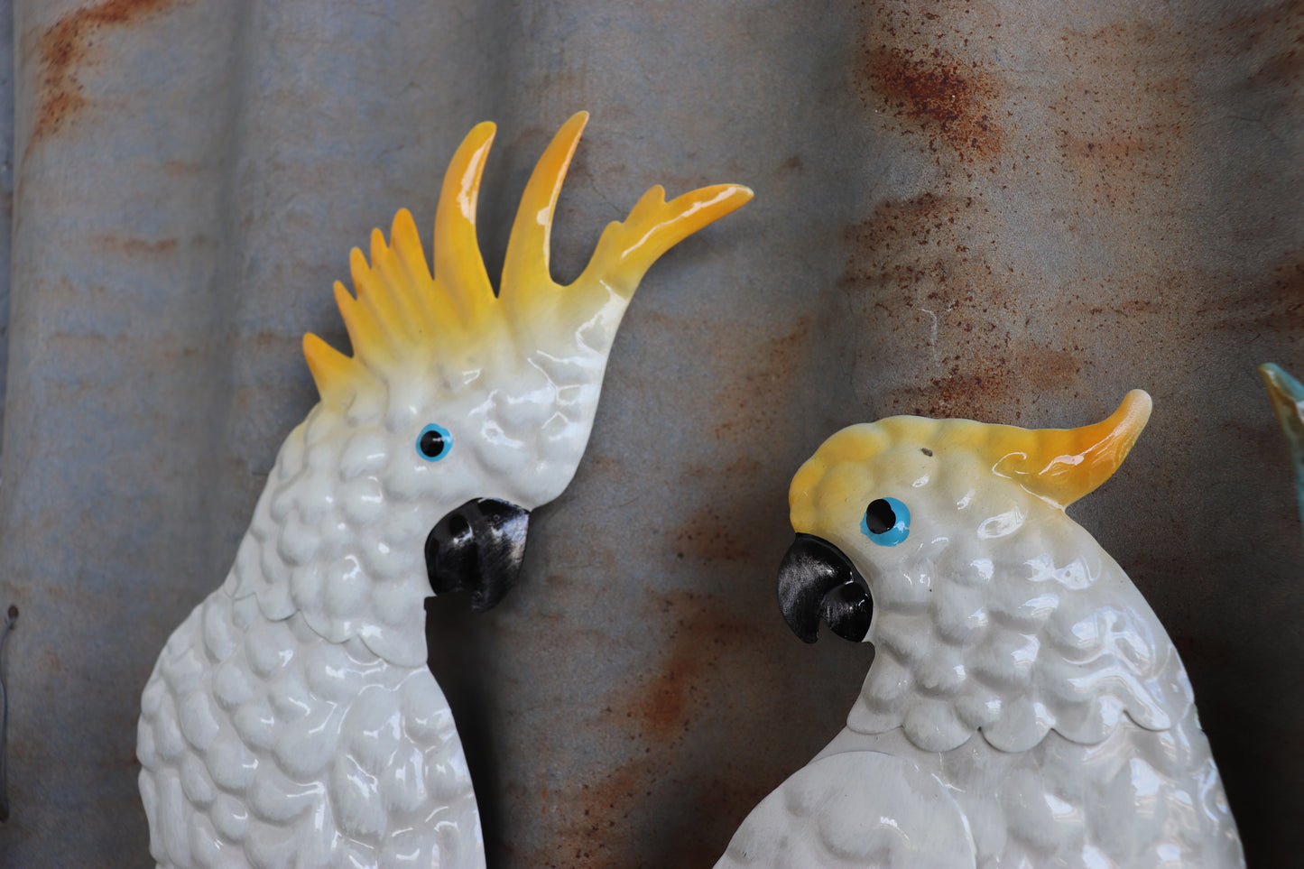 Cockatoo Mates