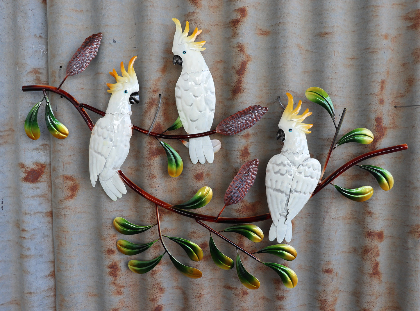 Cockatoo Trio on Banksia