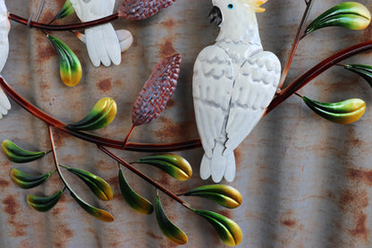 Cockatoo Trio on Banksia