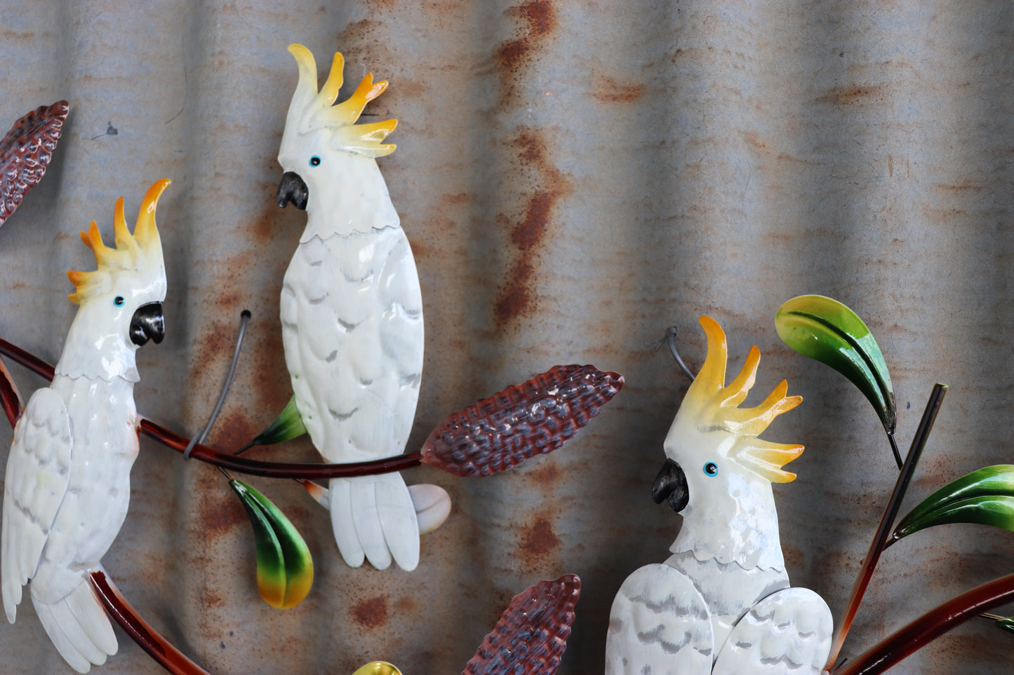 Cockatoo Trio on Banksia