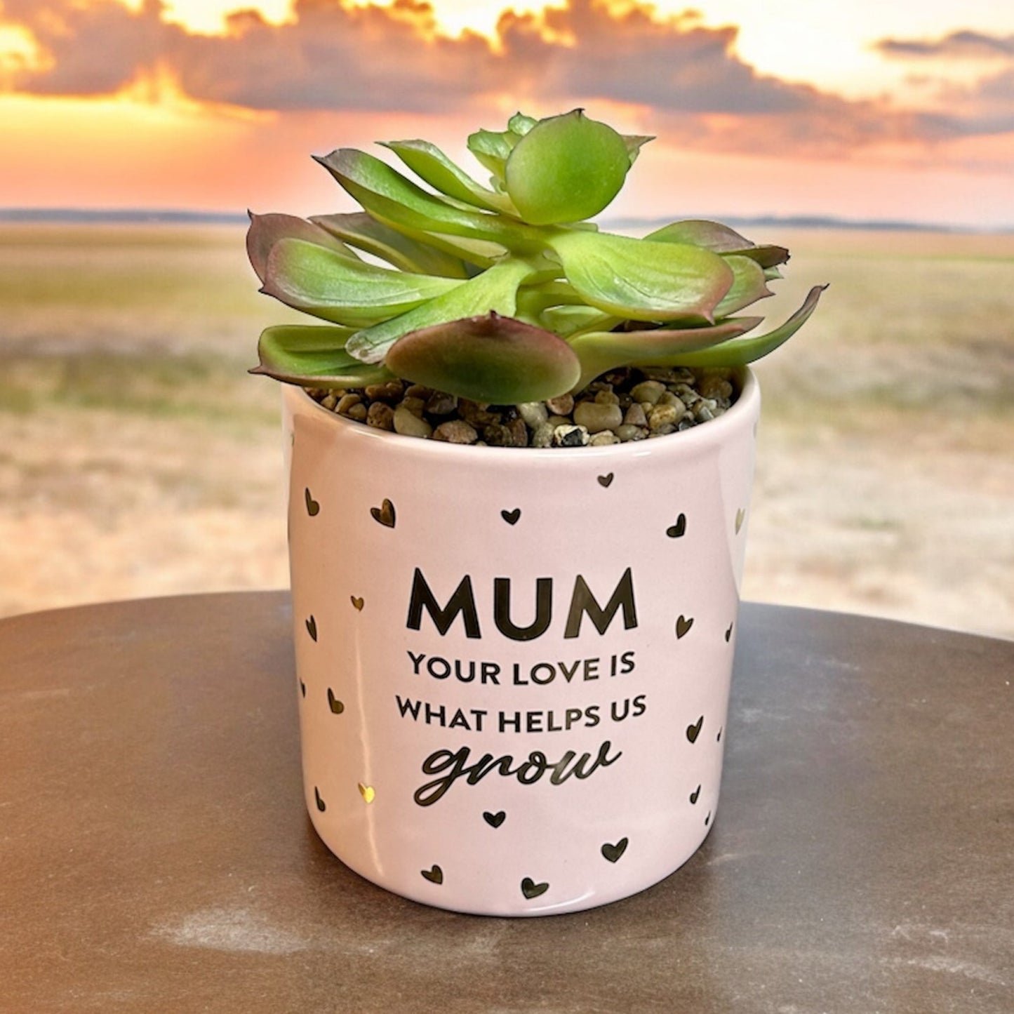 Mother's Day Pot Plant