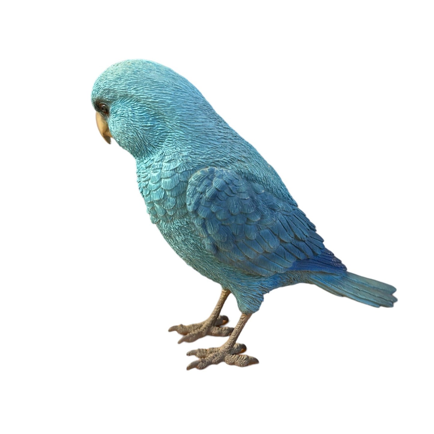 Blue Parrot