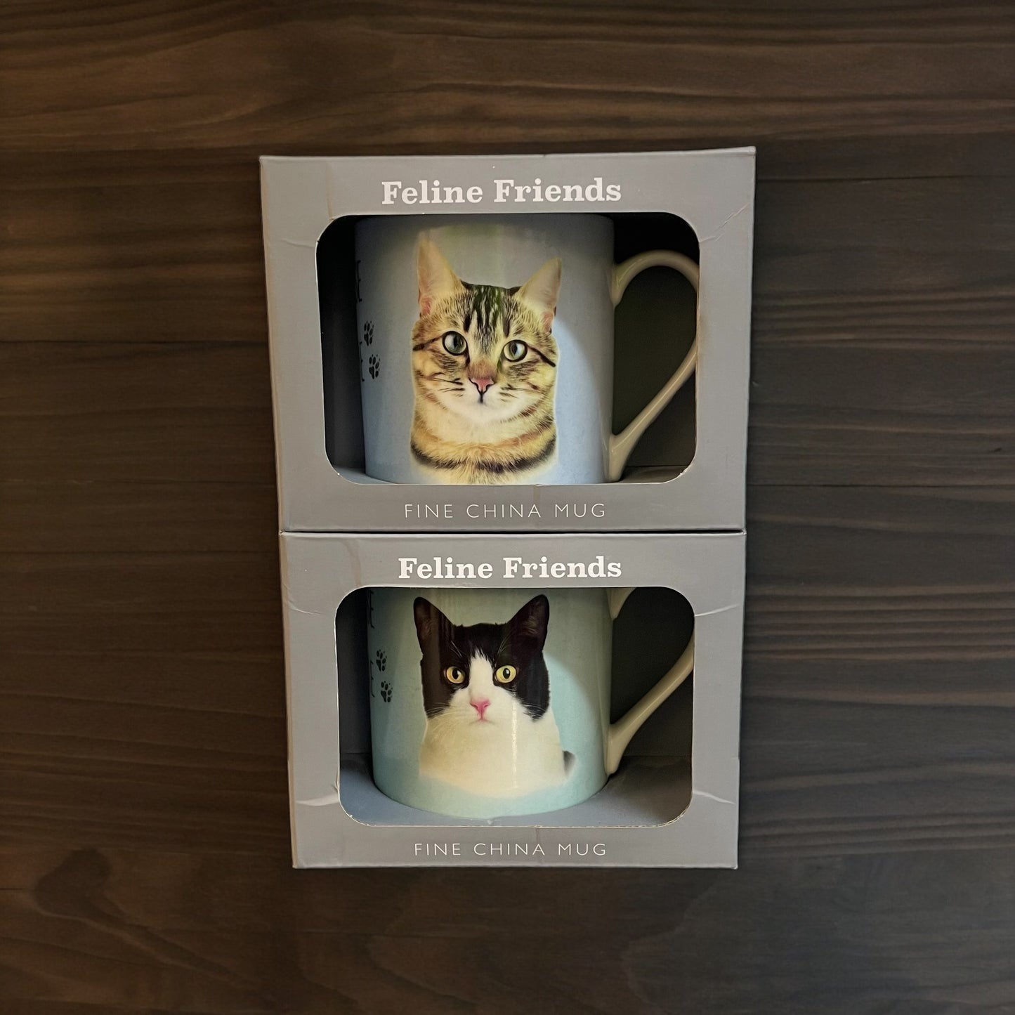 Feline Friends Mug