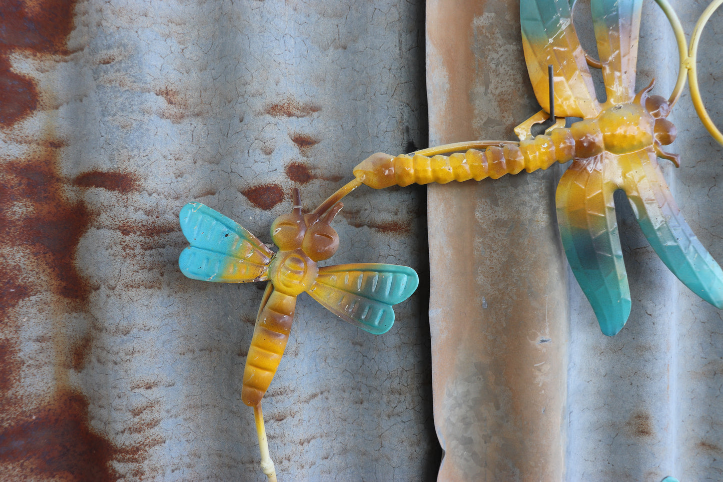 Dragonfly Cluster Wall Art