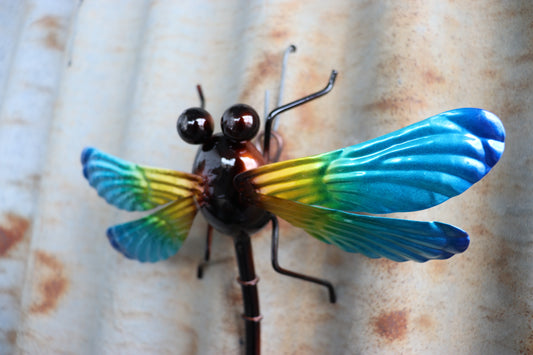 Small Blue Dragonfly Wall Art