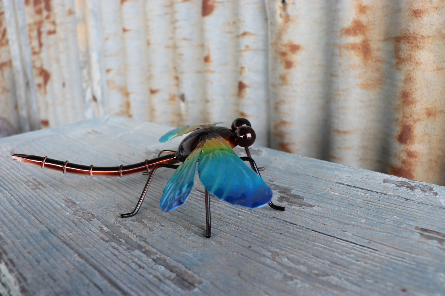 Small Blue Dragonfly Wall Art