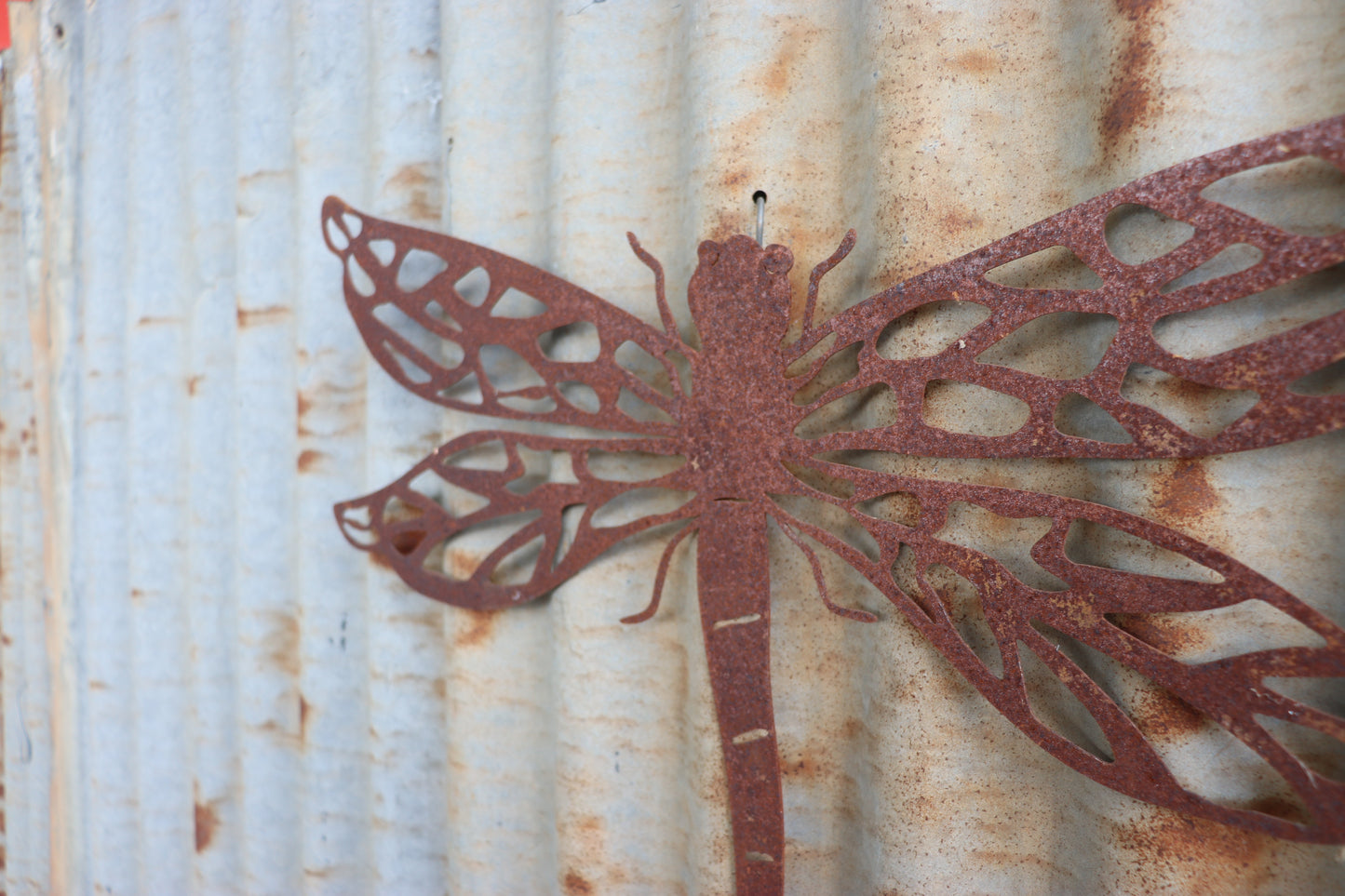 Dragonfly Rust Wall Art