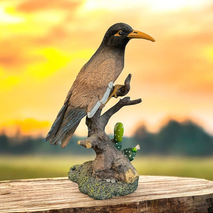 Myna Bird on Log