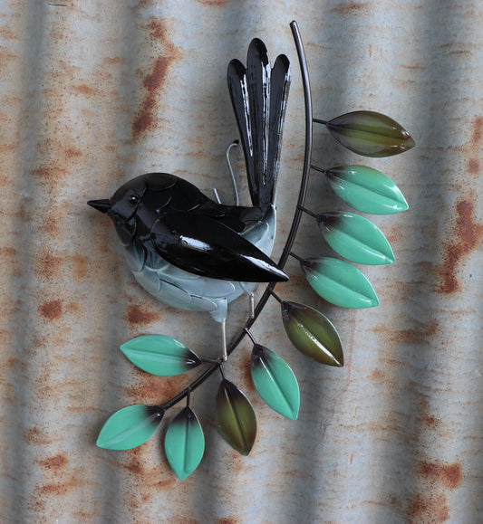 Elegant Willie Wagtail