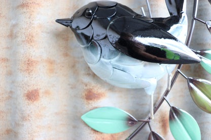 Elegant Willie Wagtail