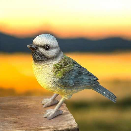 Eurasian Blue Tit Bird