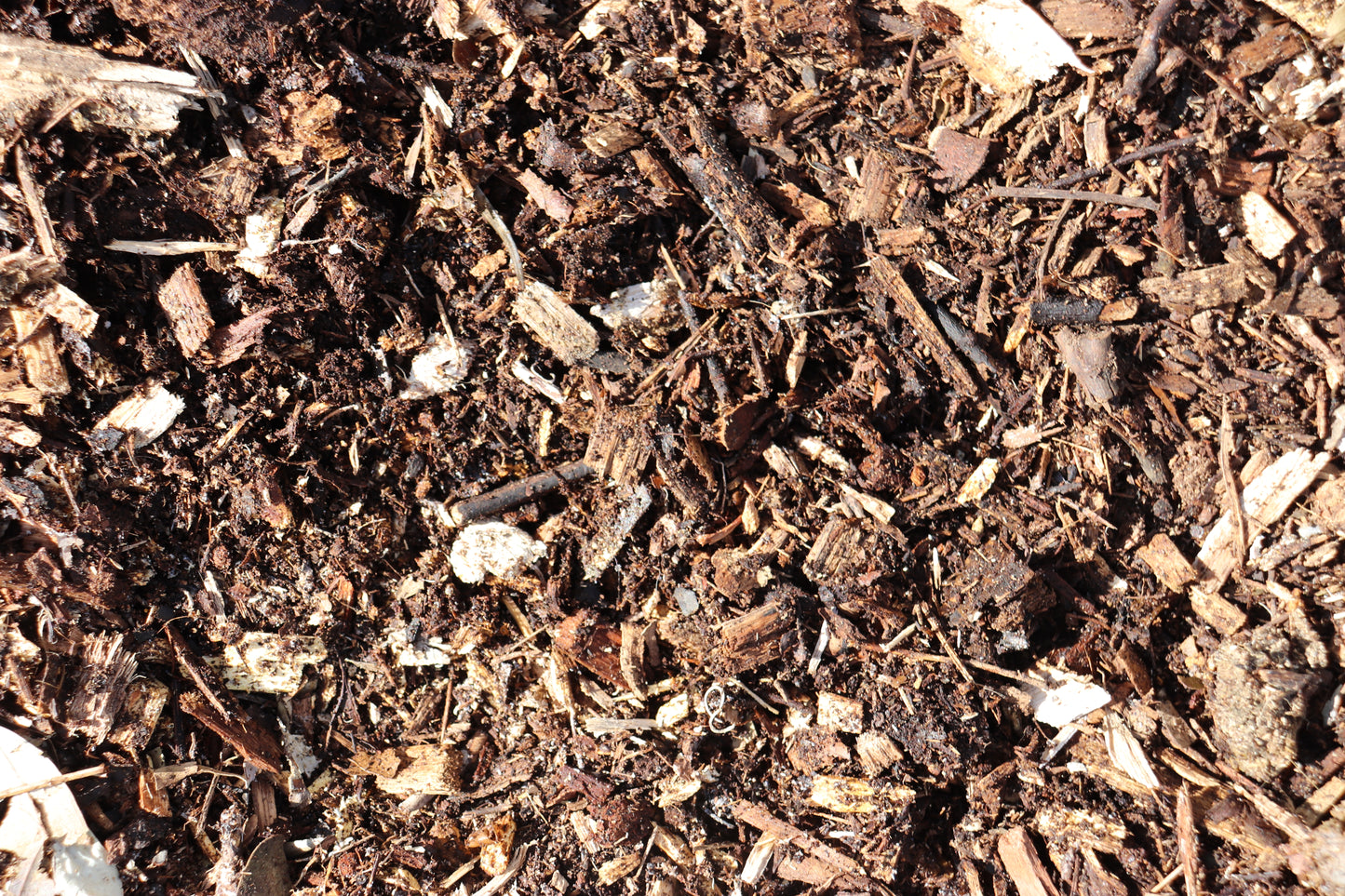 Forest Mulch