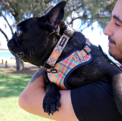 Frank Barker Dog Collars