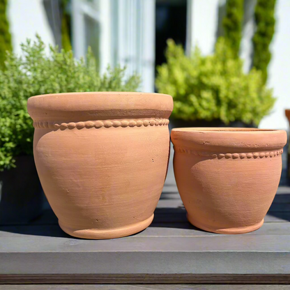 Petunia Planter