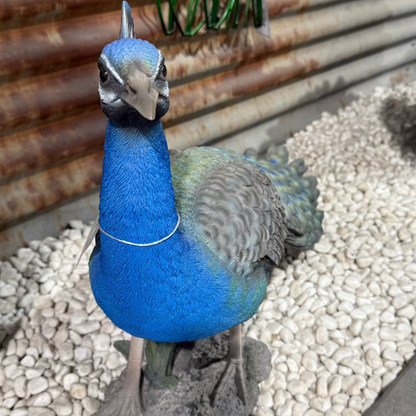 Long Tail Peacock Statue