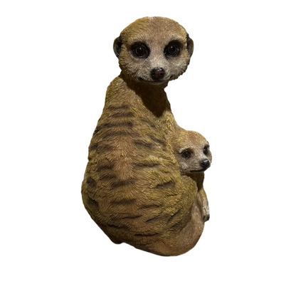 Mother and baby Meerkat on lookout