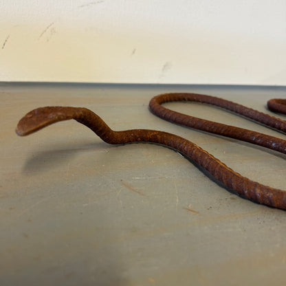 Rustic Snake