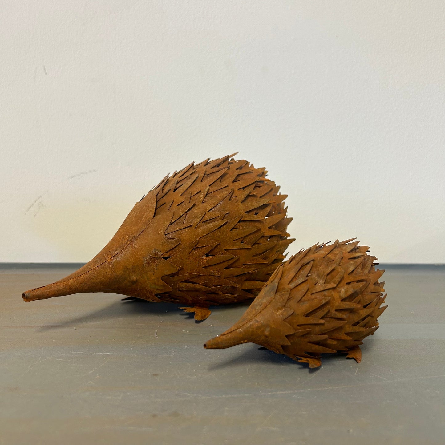 Rusty Echidna