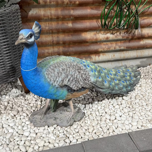 Long Tail Peacock Statue