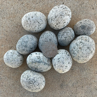 20kg Bagged - Natural Speckled Pebbles