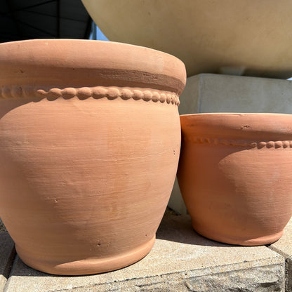 Petunia Planter