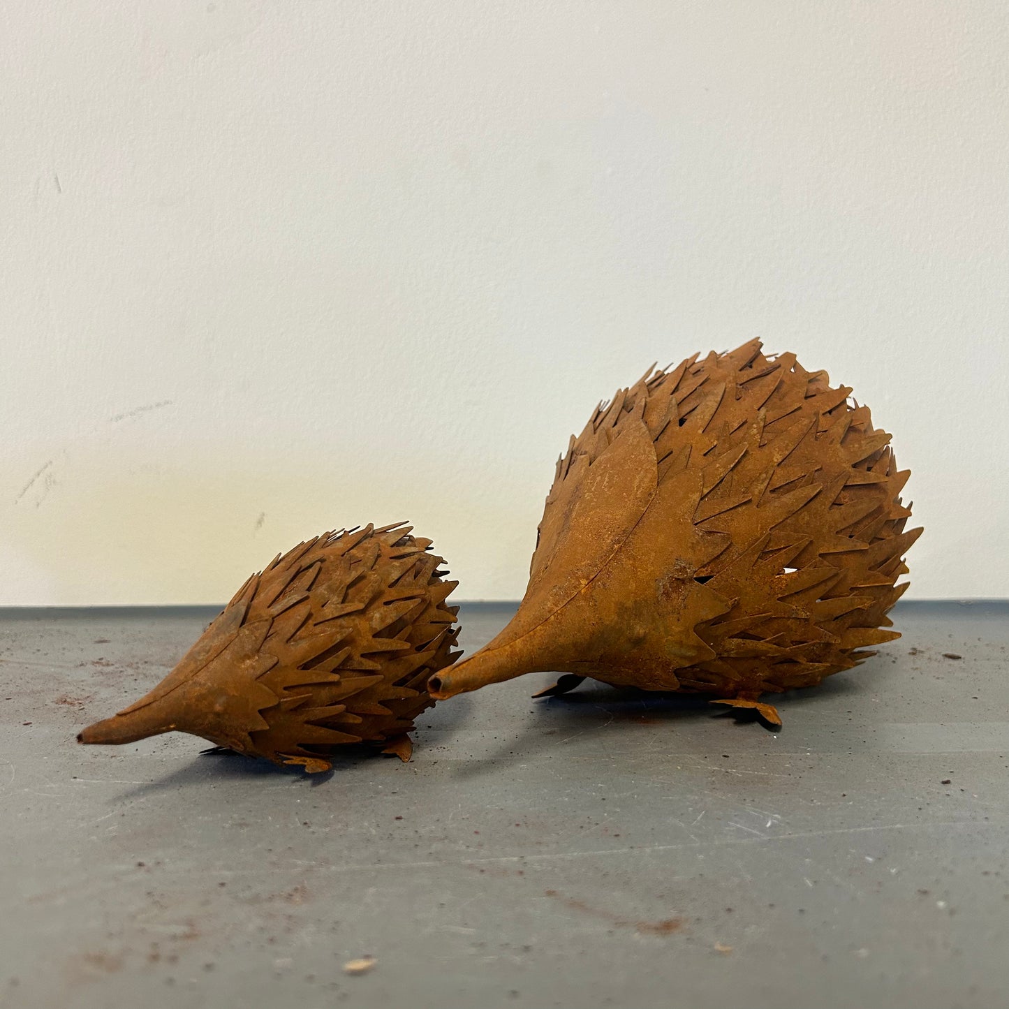 Rusty Echidna