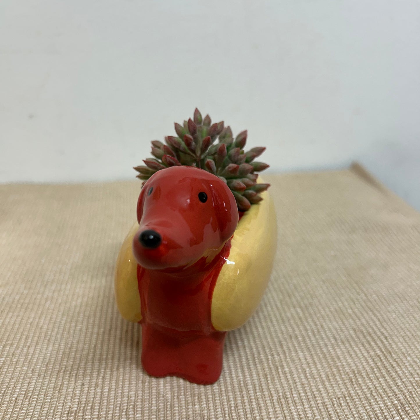 Hot Dog Ceramic Planter